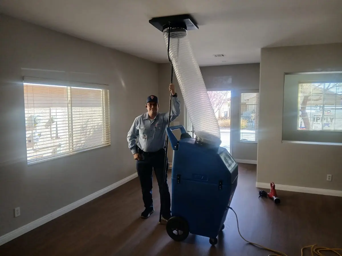 Professional Dryer Vent Cleaning work inside a Logan home